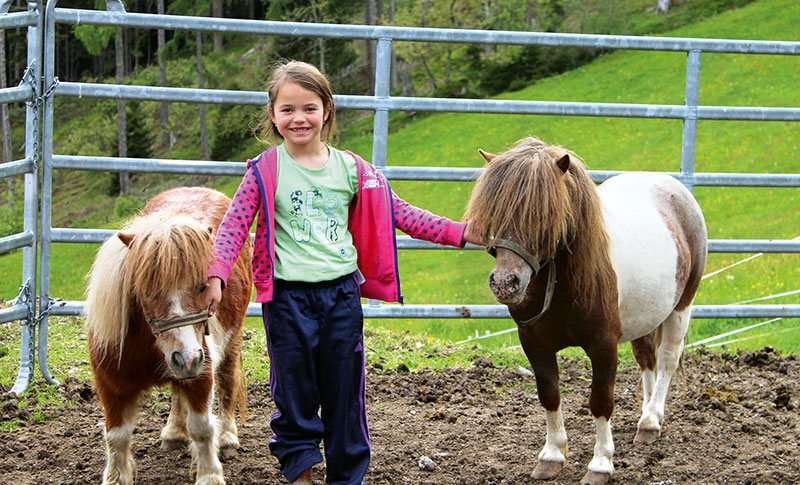 Bauernhofurlaub & Familienurlaub am Unterhagmooshof in Radstadt